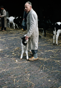 849778 Afbeelding van een veehandelaar met een kalf op de veemarkt aan de Croeselaan te Utrecht.